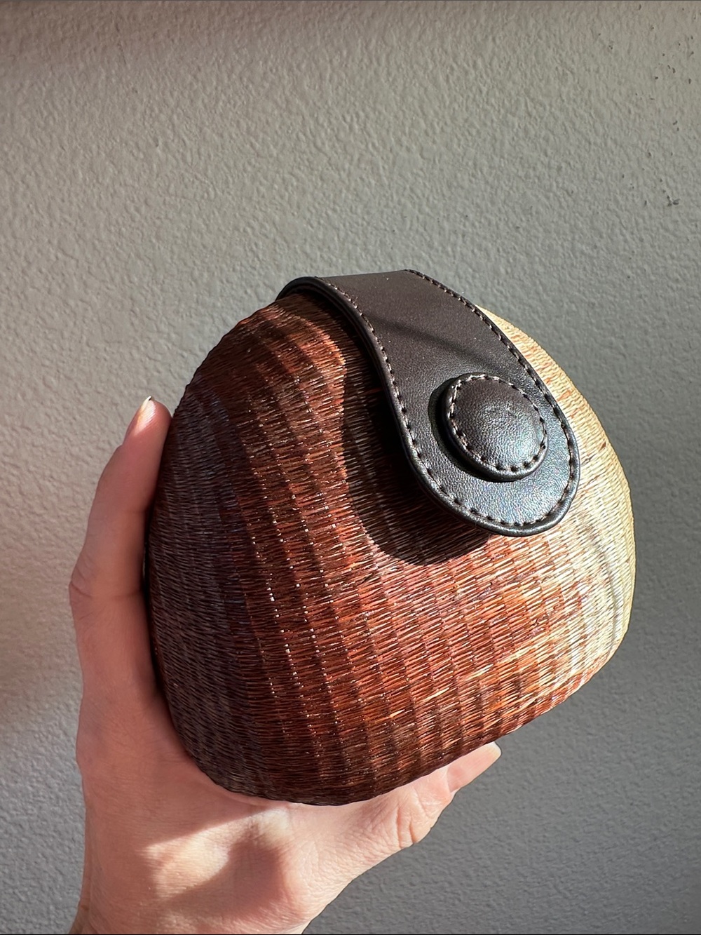 Vintage Le SAC Two Tone Coconut Shell Crossbody Clutch